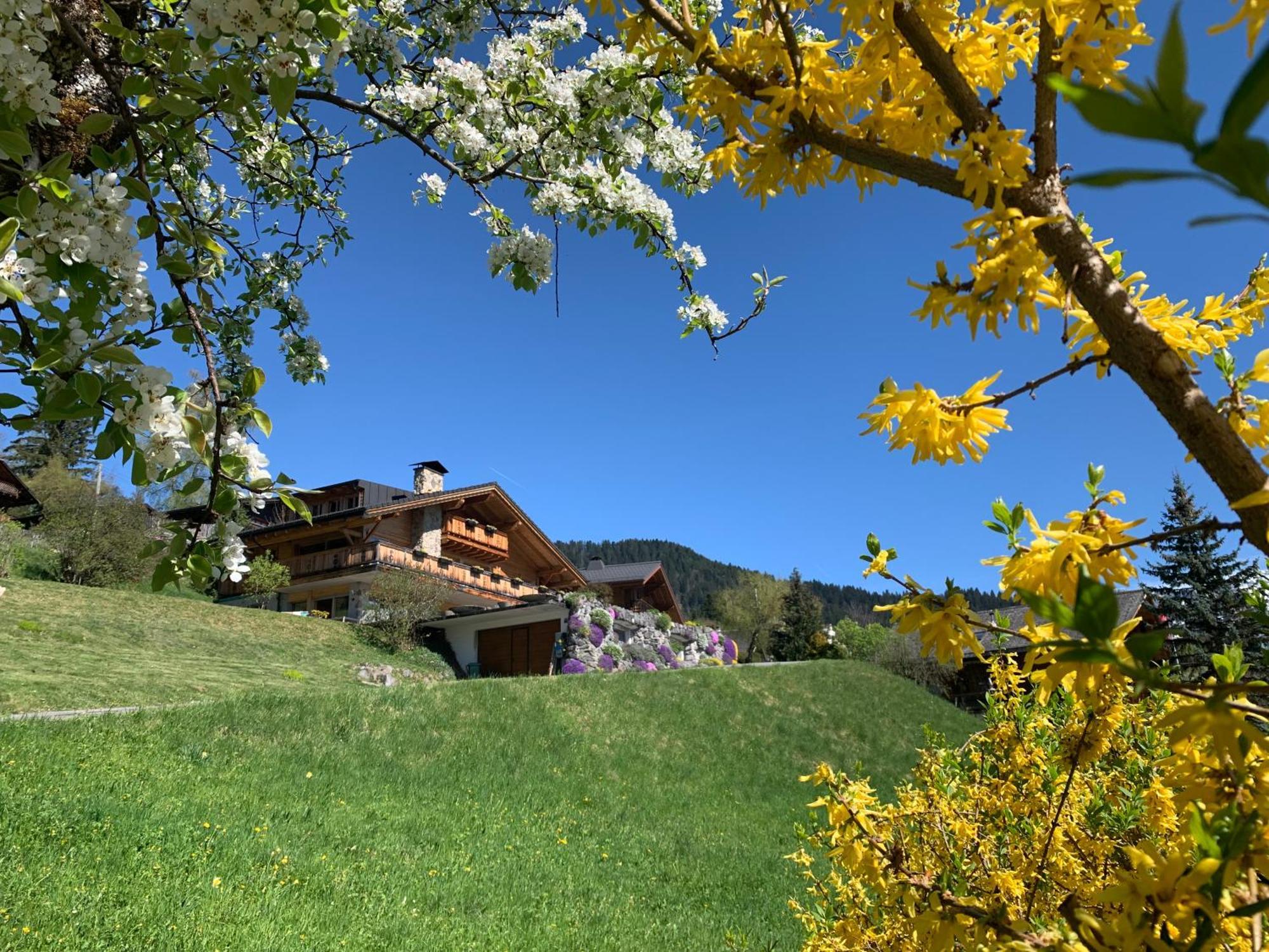 Chalet La Renarde Villars-sur-Ollon Bagian luar foto