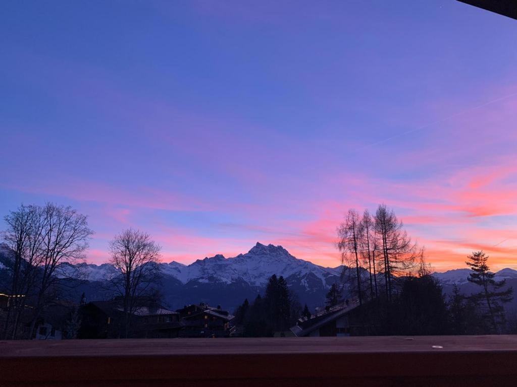 Chalet La Renarde Villars-sur-Ollon Bagian luar foto